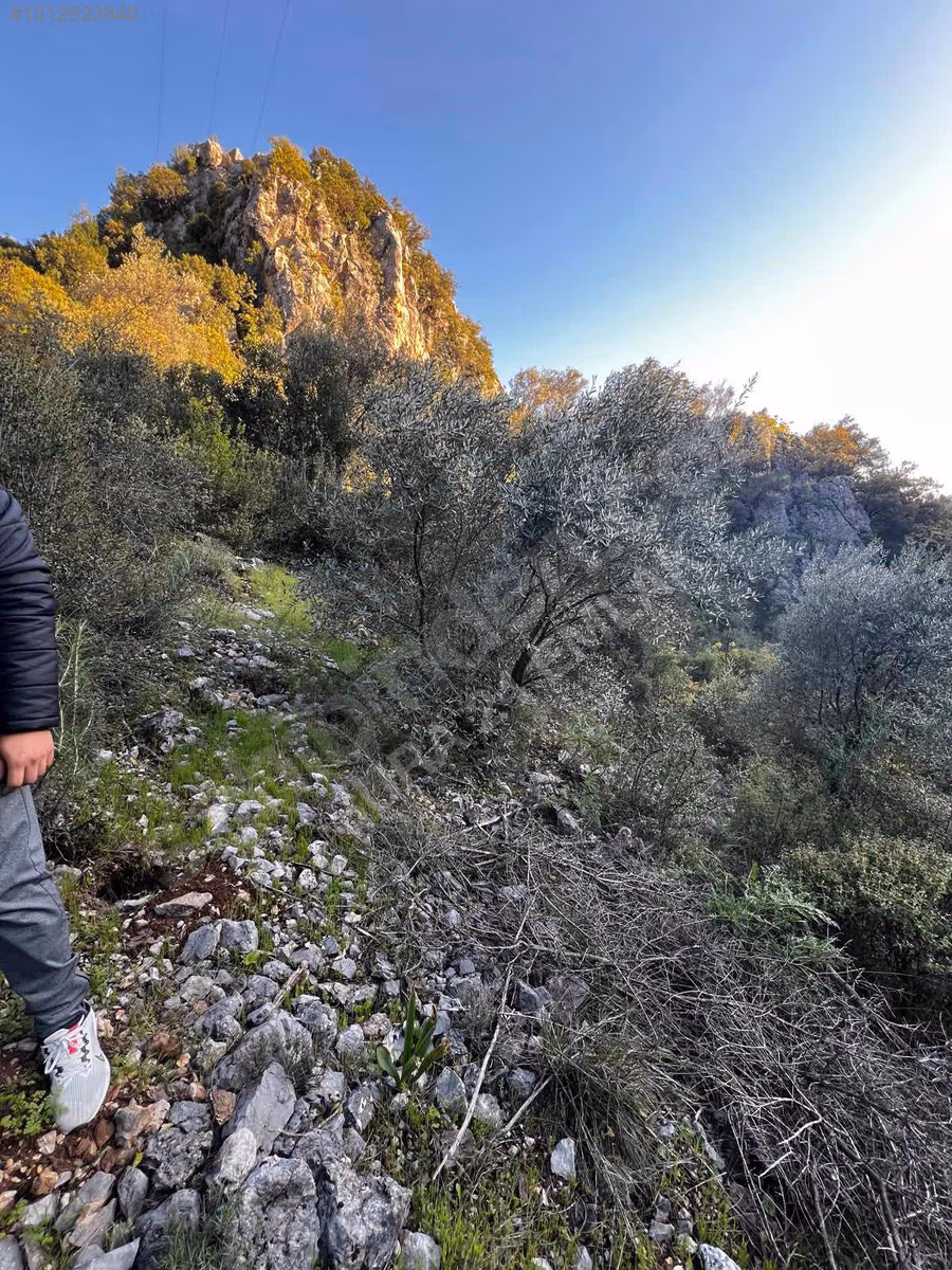 DAHA UYGUN YOK GÖCEKTE MÜSATAKİL PARSELLİ 310M2 SATILIK ARSA